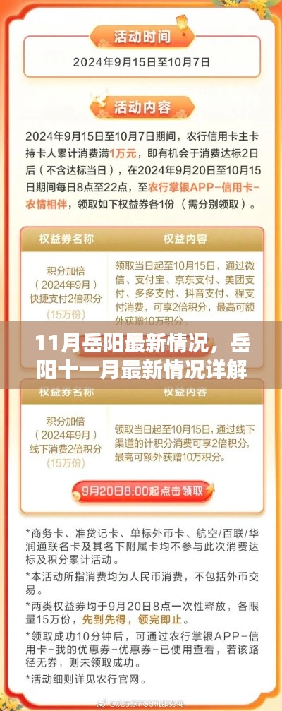 岳阳十一月最新动态详解,掌握技能与任务指南