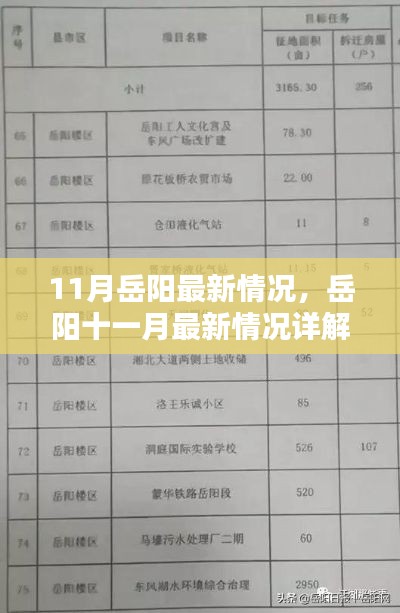 岳阳十一月最新动态详解,掌握技能与任务指南