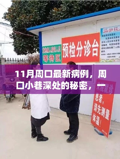 周口特色小店与最新病例的十一月故事揭秘