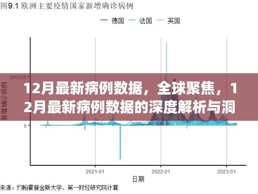 全球聚焦,深度解析与洞察12月最新病例数据