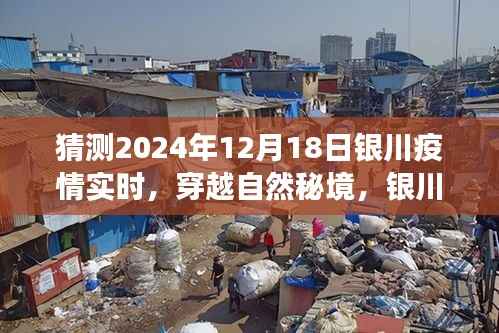 穿越自然秘境,静待疫情消散,银川之旅的实时观察与未来展望