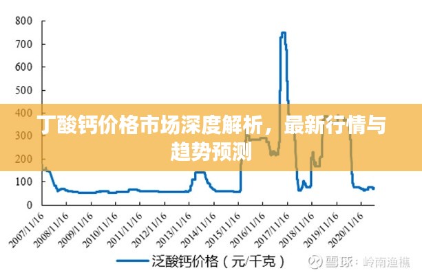 丁酸钙价格市场深度解析,最新行情与趋势预测